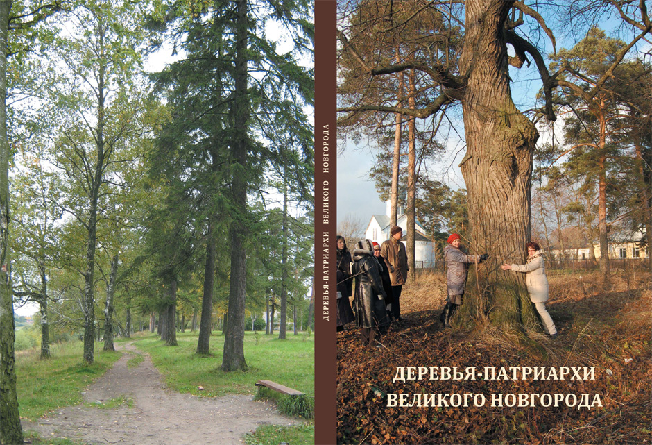 Вековые деревья, или деревья-патриархи